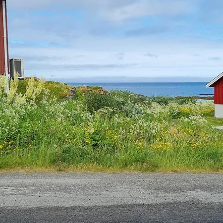 Liten I Berlevåg