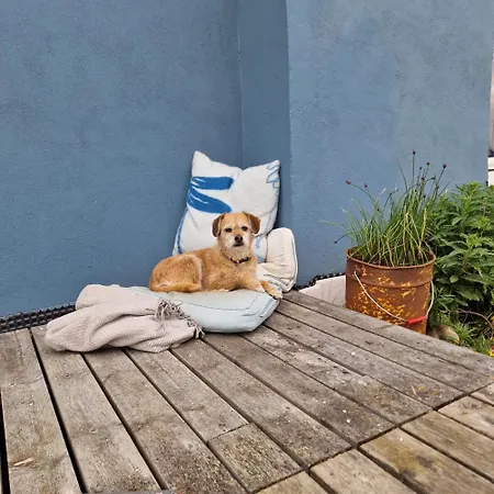 Liten I Daire Berlevåg